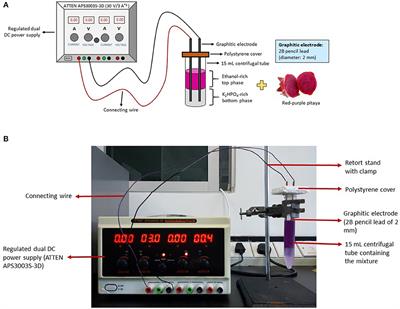 Liquid Biphasic Electric Partitioning System as a Novel Integration Process for Betacyanins Extraction From Red-Purple Pitaya and Antioxidant Properties Assessment